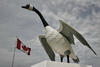 Postcards from CANADA