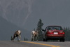 Postcards from CANADA