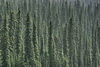 Postcards from CANADA